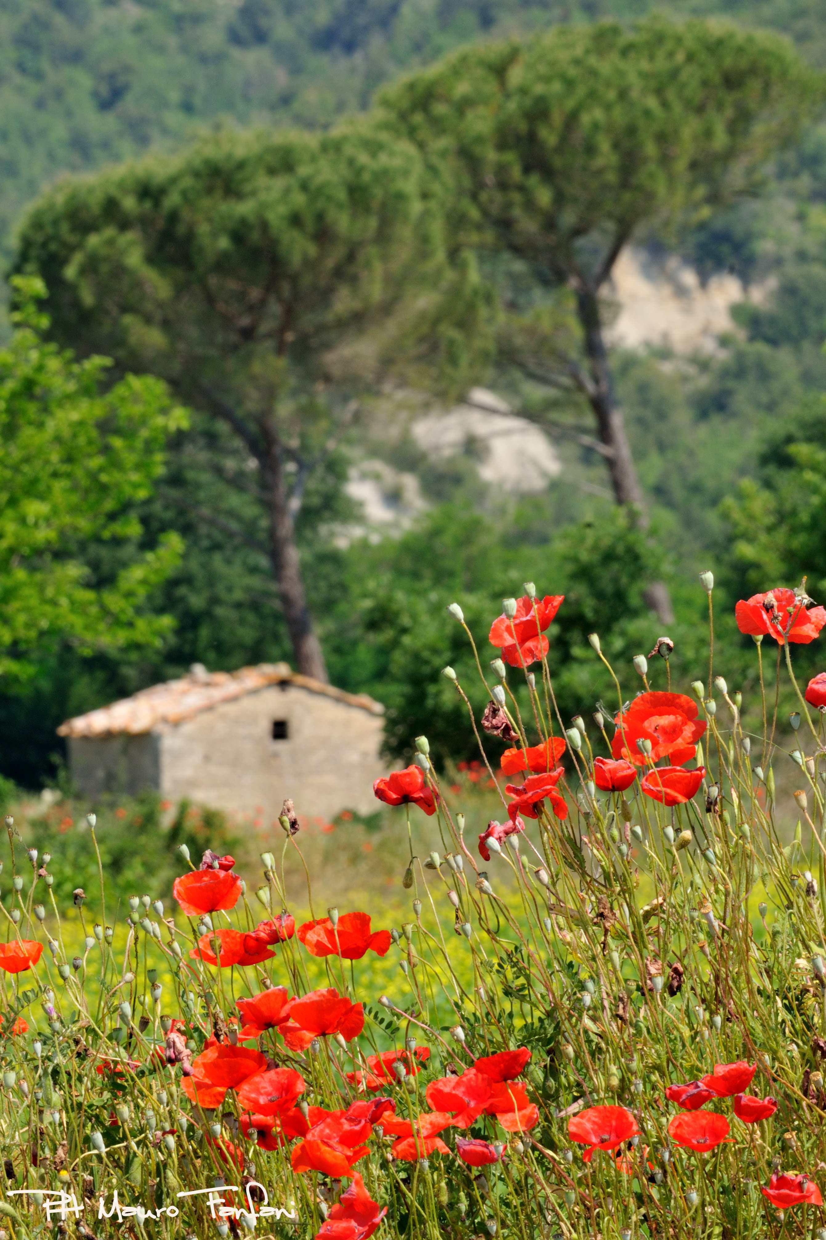 vivere la toscana